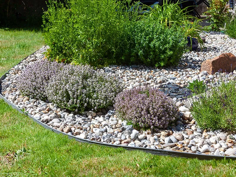 créations de jardin